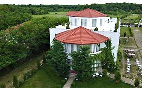 Youness Wellness Clinic & Retreats